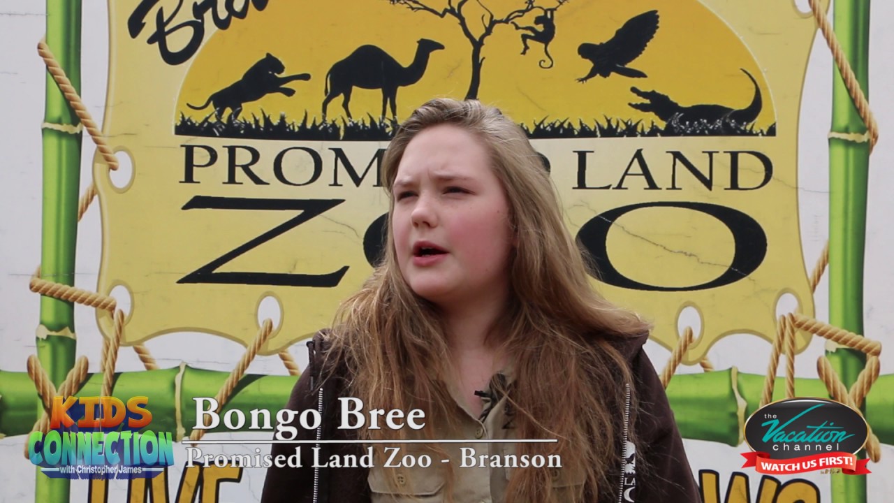 Bongo Bree From The Promised Land Zoo in Branson Missouri